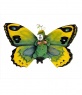 Schmetterling Kostüm für Kleinkinder.