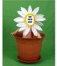 Blume Kostüm für Kinder.