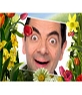 Fotorahmen mit Bildern von Blumen und Pflanzen