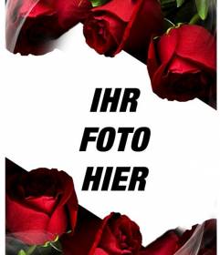 Einstellen Liebe zu erhalten, ein Foto. Ideal als Souvenir oder Valentine Saint George. 6 Blumen sind rot, Rosen ohne Dornen und eine zündende Wirkung von Seide oder Gaze zu einer noch größeren Gefühl der Weichheit der Zusammensetzung