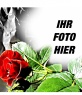 Anpassbare Fotorahmen. Rote Rose, ideal für Liebhaber. 