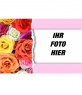 Postkarte Rosen. Valentinstag Tage Special.