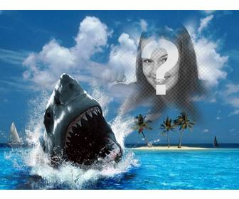 Fotomontage von einem Hai beißt Ihr Foto