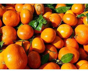 padagogische spiel wo sie haben um ein gesicht in einem orangefarbenen finden und lernen gesund zu essen