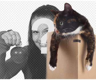 fotomontage auf ein katzchen in eine schublade gesteckt in einem ihrer bilder