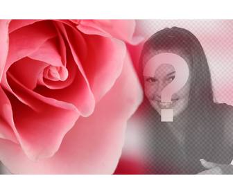 fotomontage romantisch mit einer rosa rose und hintergrund verschwimmen wo sie ein foto von sich oder ihren partner zu uberlagern