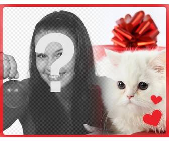 romantische postkarte mit weißen persische katzchen mit herzen vor einem geschenk-box und das foto das sie hochladen online