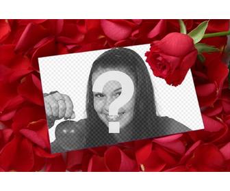 setzen sie ein bild in einen liebesbrief mit einem rosenblatt rosa hintergrund zur erganzung der valentinstag geschenk eine karte die sie oder e-mail ausdrucken konnen liebe zum detail einen speicher zum letzten der ferne