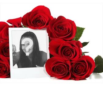 online-fotorahmen von einem bouquet von rosen umgeben