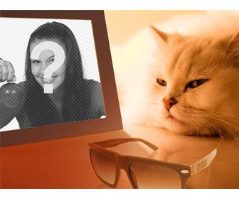 fotomontage einer gelangweilten katze sehen sie ihr foto in dem sie das bild sie wollen