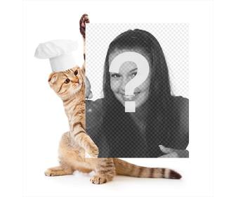 fotomontage mit einer katze in koch halt ihr bild gekleidet