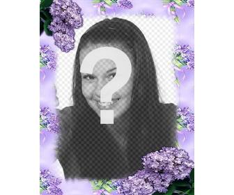 violet blumen ihre fotos mit diesem online-effekt