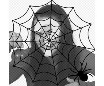 setzen sie ein spinnennetz und eine spinne in ihr foto terroreffekt