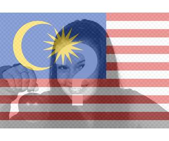 virtuelle filter hinzufugen auf ihre fotos der malaysia flagge uber ihre bilder die die flagge von malaysia setzen