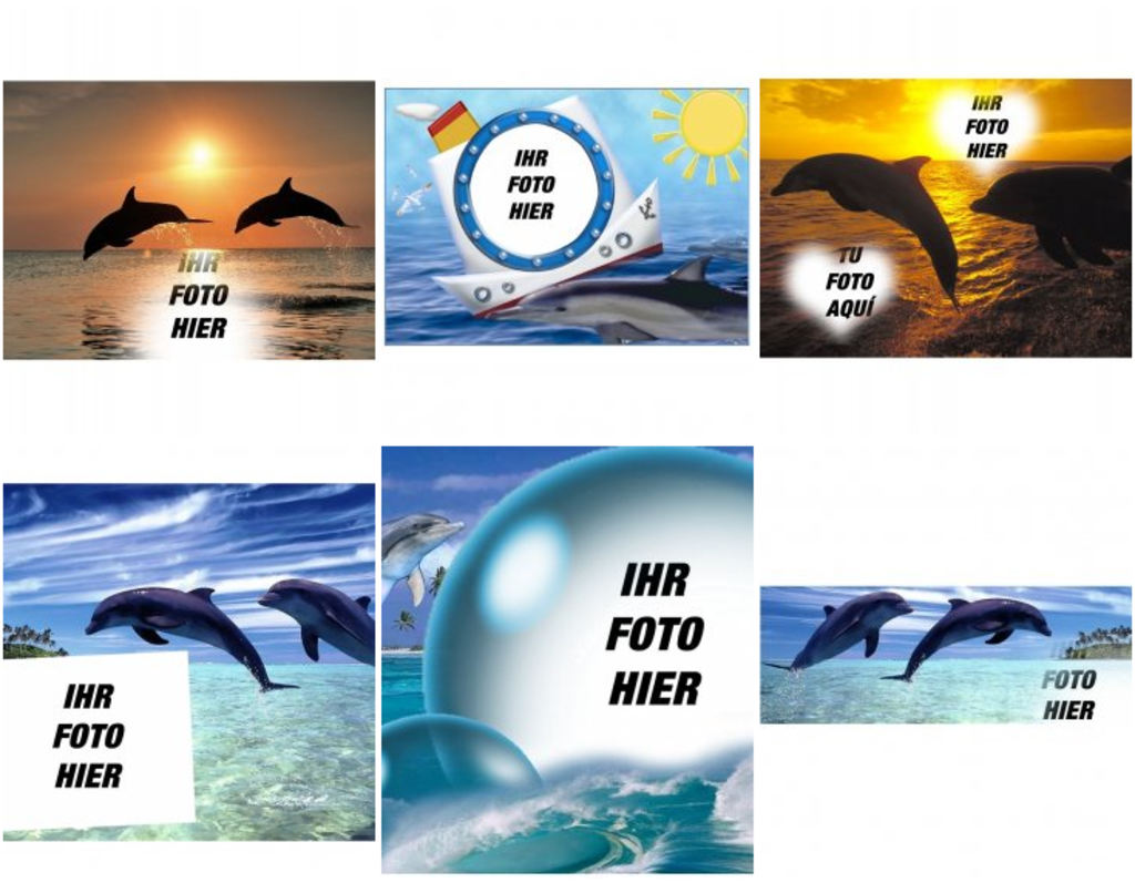 Die Rahmen für die Fotos von Delfinen und Meeres