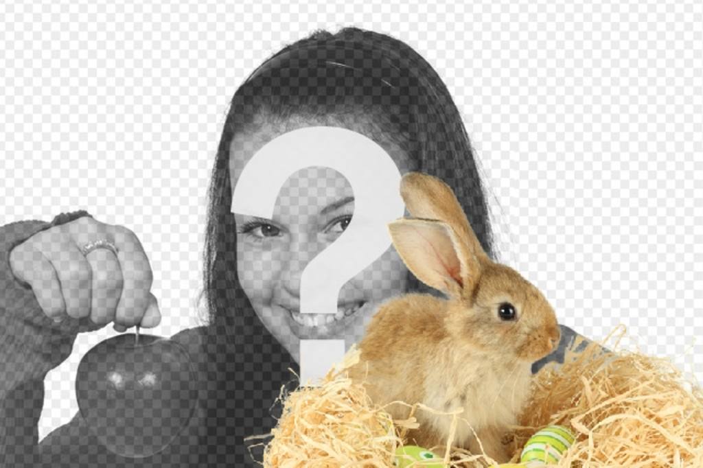 Fotomontage mit einem Kaninchen und Ostereier, um Ihre Fotos online und..