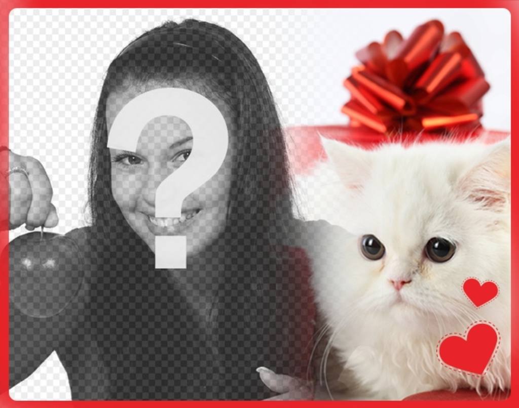 Romantische Postkarte mit weißen persische Kätzchen mit Herzen vor einem Geschenk-Box und das Foto, das Sie hochladen..