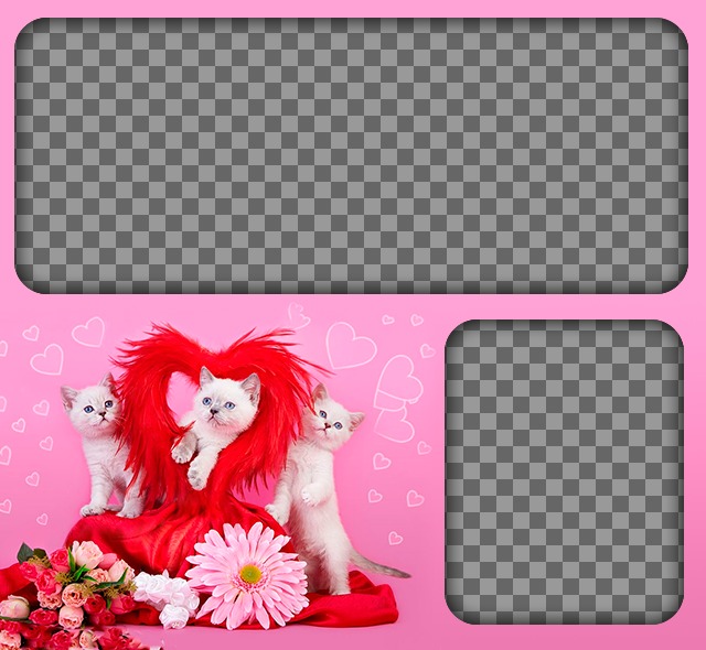 Romantische Fotomontage mit Kätzchen und Herzen mit einem rosa Hintergrund zwei Bilder der Liebe zu platzieren. ..