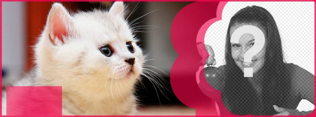 Benutzerdefinierte facebook mit einer weißen Katze und einer rosa Blume auf Ihr Bild und den Text, den Sie setzen..