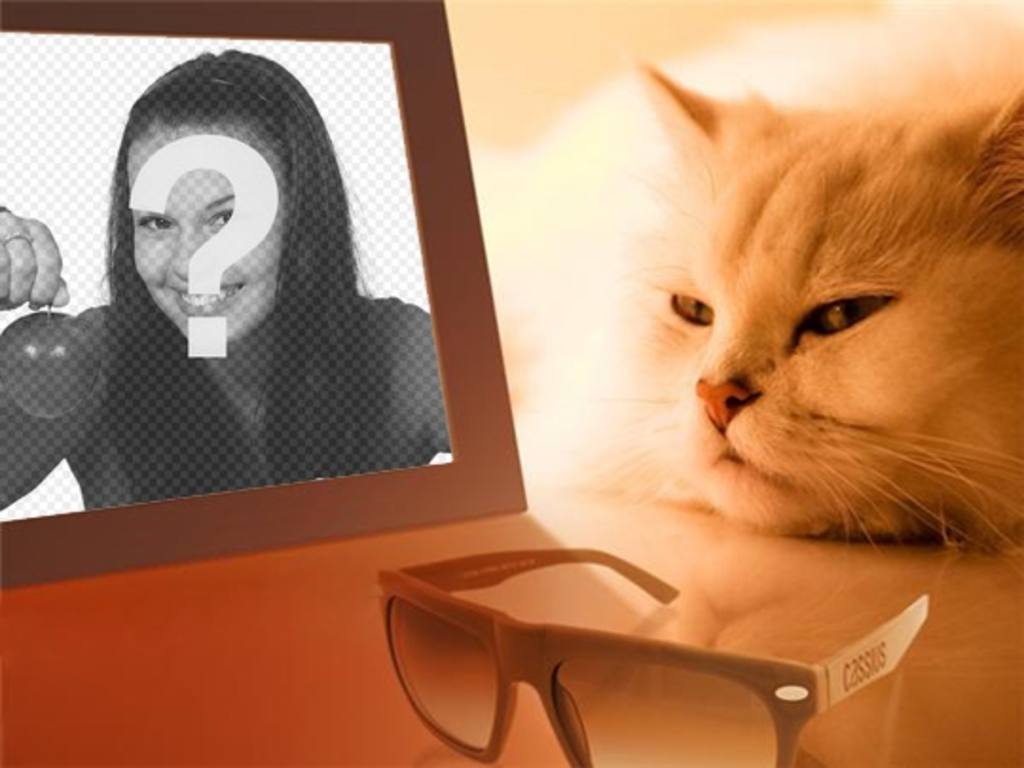 Fotomontage einer gelangweilten Katze sehen Sie Ihr Foto, in dem Sie das Bild Sie..