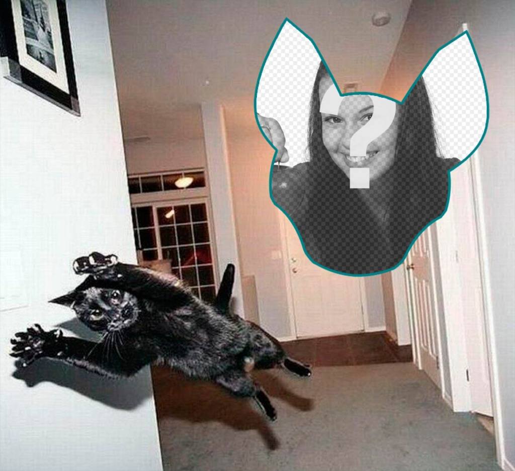 Fotomontage mit eine Katze springt, als ob es eine Explosion gab. ..