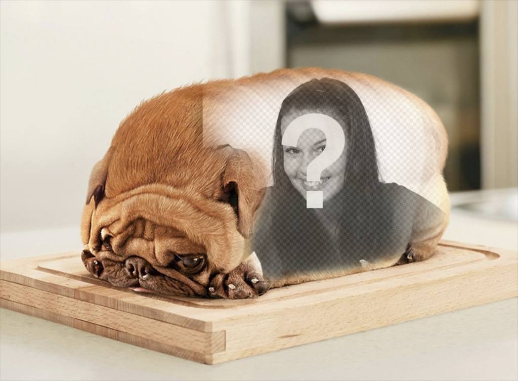Hund geformt Brot mit dem Rücken zur Ihre Fotos setzen. Fotomontage ..