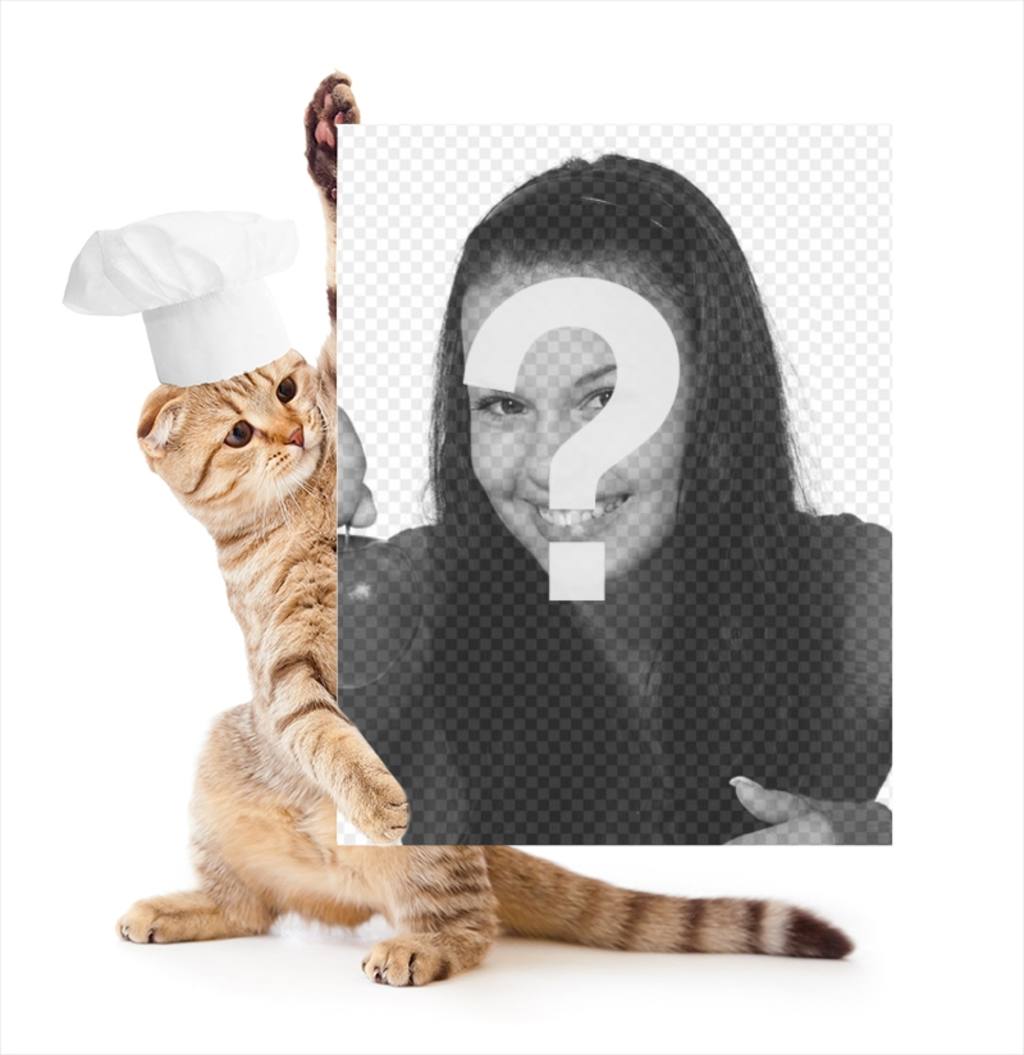 Fotomontage mit einer Katze in Koch hält Ihr Bild gekleidet. ..