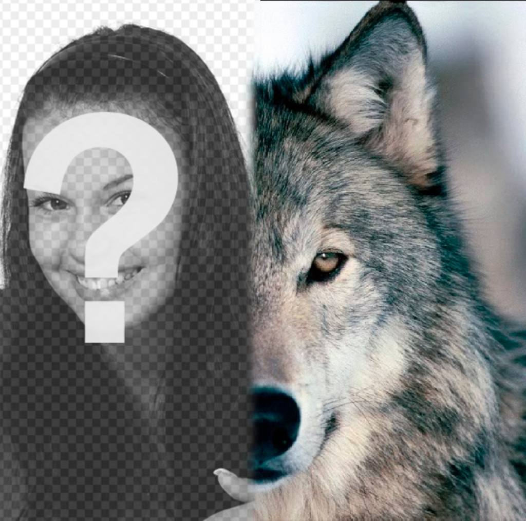 Fotomontage, um einen Wolf Gesicht neben Sie setzen, Abschluss Ihrer Hälfte. ..