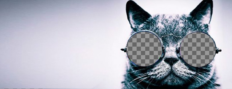 Anpassbare Cover-Foto für Facebook mit einer Katze mit Sonnenbrille ..