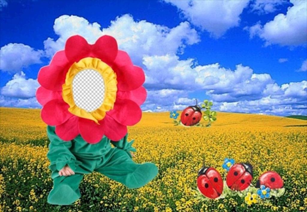 Kostüm der Blume auf der Wiese, das Gesicht Ihres Babys zu setzen dieses Online-Fotomontage einer Blume ..