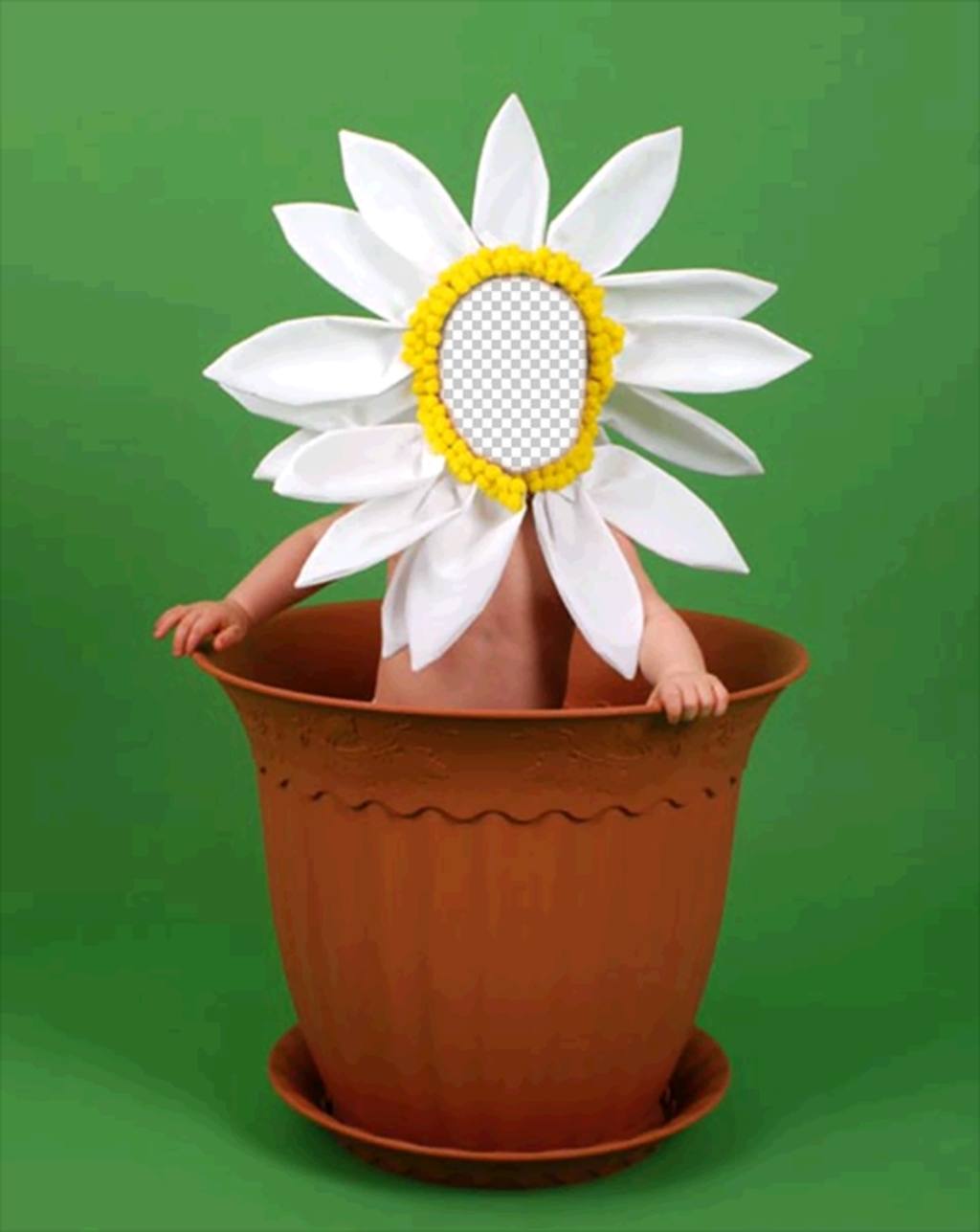 Fotomontage für Kinder von einer Blume in einem Topf zu verschleiern dieses Online-Effekt ..