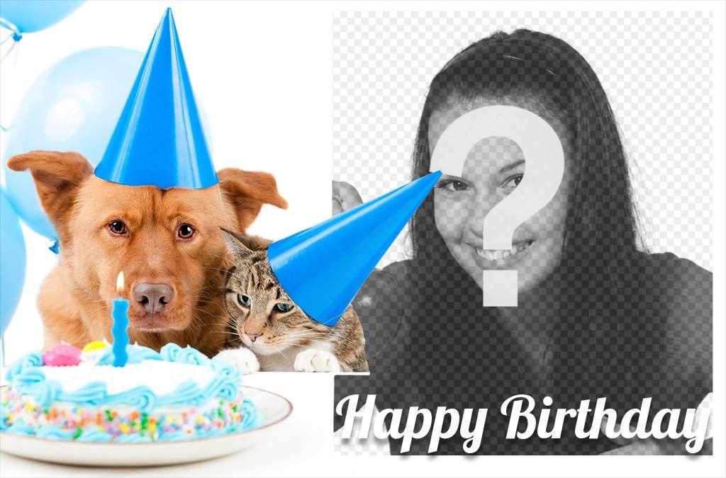Süße Geburtstagskarte mit einem Hund und einer Katze für ein Bild ..