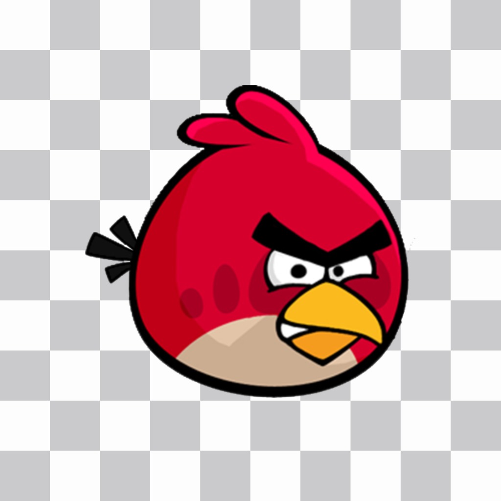 Big Bird zu setzen über Ihre Fotos, wenn Sie wie Angry Birds ..