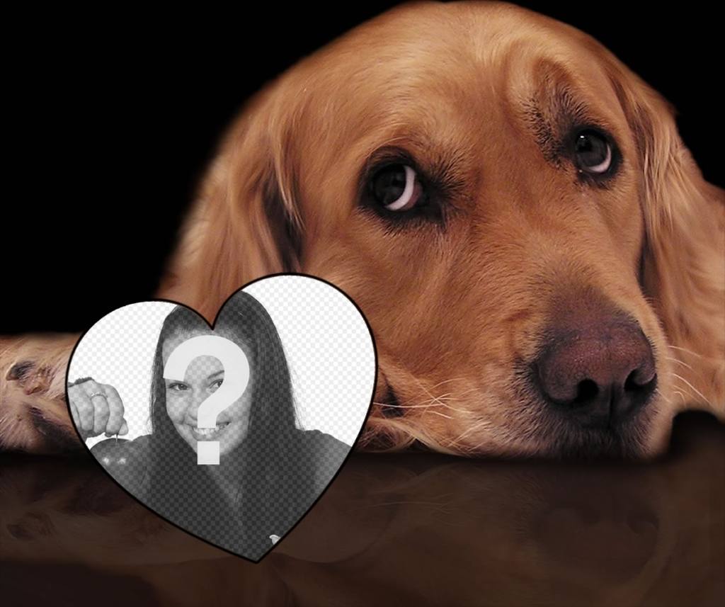 Fotomontage der Liebe mit einem zarten Hund Ihr Foto ein Herz ..