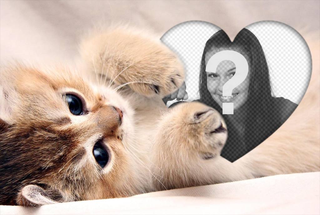Netter Fotoeffekt eines Kätzchens die ein Herz umarmen Ihr Foto hinzufügen ..