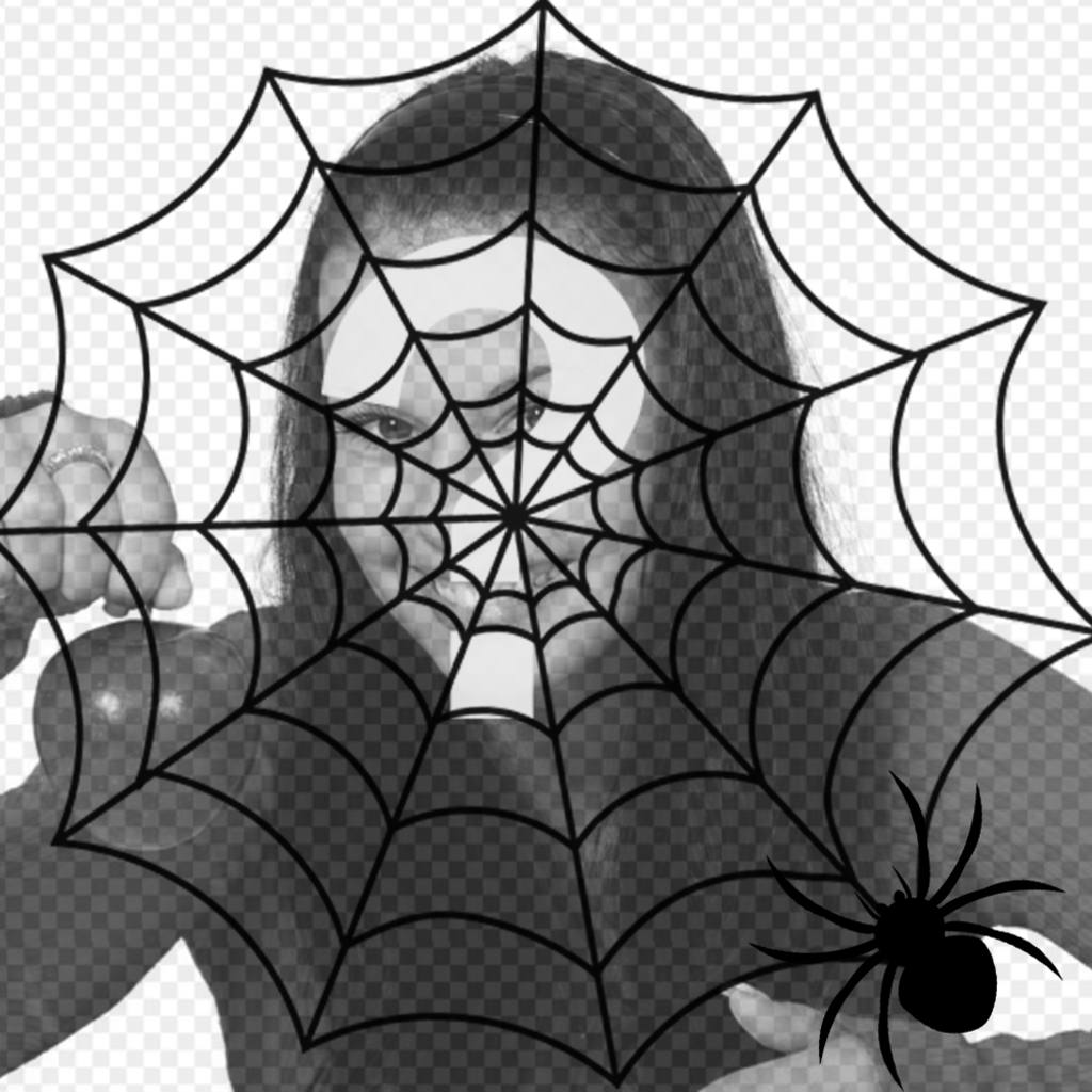 Setzen Sie ein Spinnennetz und eine Spinne in Ihr Foto, Terroreffekt ..