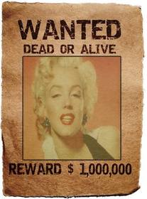 Wanted Poster. Ihr Foto in einer legendären Lineup von der Suche und Erfassung, tot oder lebendig, Belohnung, eine Million. Sparen Sie an oder senden Sie die Fotomontage als Souvenir oder Neugier.