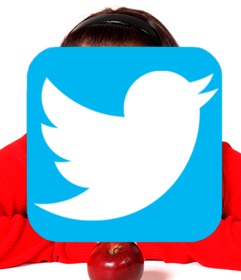 fuge twitter logo zu deinen fotos online hinzu