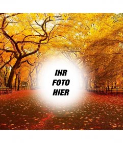 Herbst Foto Effekte Photoeffekte