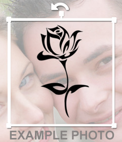 Foto-Effekt eine Tätowierung einer Rose auf Ihre Fotos und kostenlos 