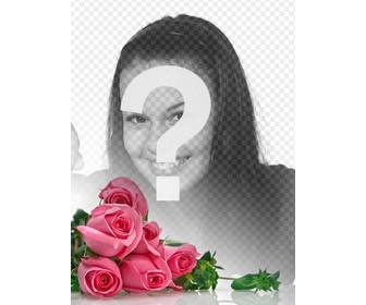 fotomontage mit rosa rosen mit weißen hintergrund mit farbverlauf zu ihrem romantischen fotos platzieren