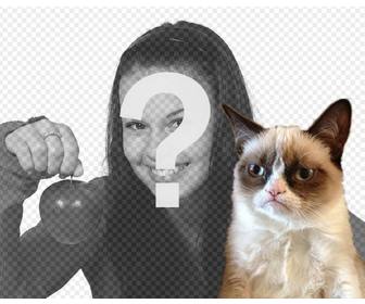 fotomontage mit grumpry katze meme die beruhmt geworden ist in der ganzen internet