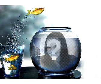 erstellen sie eine fotomontage mit einem tank voll wasser mit gelben fische springen aus dem glas wo sie ein bild gesetzt wird