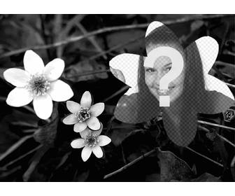 collage mit einem foto von schwarzen und weißen blumen und einem foto von ihnen zu blume geformt hochgeladen