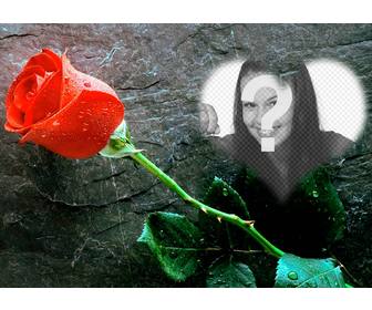 setzen sie ein foto innerhalb eines herzens mit einer rose neben diesem foto-effekt lieben dass man als postkarte zu senden