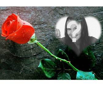 setzen sie ein foto innerhalb eines herzens mit einer rose neben diesem foto-effekt lieben dass man als postkarte zu senden
