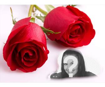 postkarte der liebe mit zwei rosen und einem fotorahmen in dem ein bild zu setzen