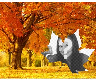 fotocollage des herbstes mit einem hintergrund von baumen und einem blatt geformt rahmen stellen sie ihre fotos