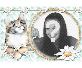 fotomontage um das foto mit einem niedlichen katzchen setzen