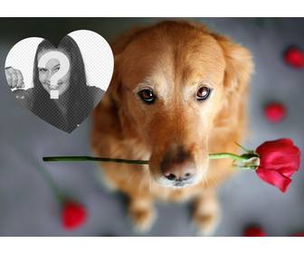 romantische fotoeffekt mit einem hund und einer rose ihr foto hinzufugen